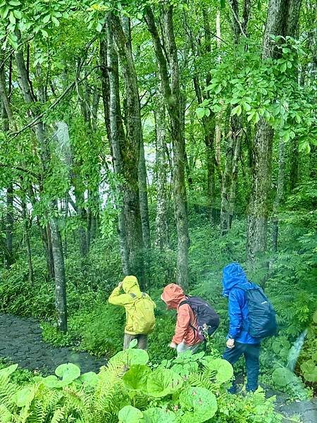 [遊記] 2024長野夏之旅。上高地健行 行前規劃