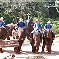 MAETAMAN ELEPHANT CAMP