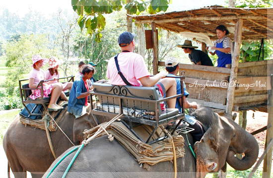 Elephant riding