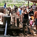 MAETAMAN ELEPHANT CAMP