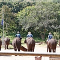 MAETAMAN ELEPHANT CAMP