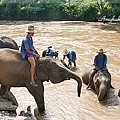 MAETAMAN ELEPHANT CAMP