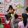 _DSC8500.JPG