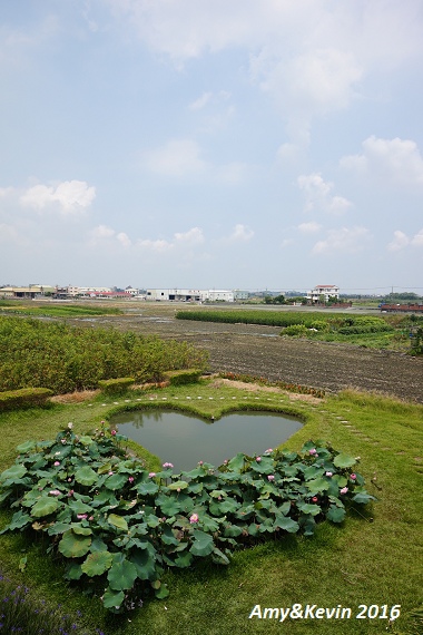 DSC08001.jpg