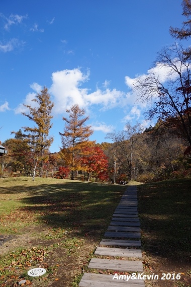 DSC03144.jpg