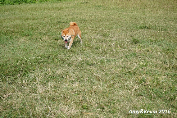 DSC05073.jpg