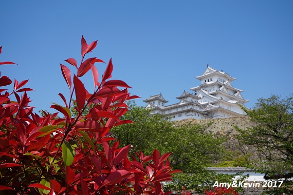 DSC04014.jpg DSC04014.jpg