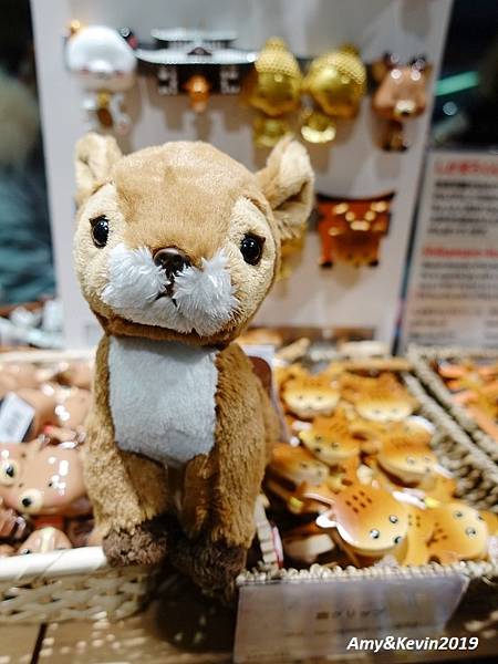 2019日本關西十日(6)奈良走走&依依不捨回家