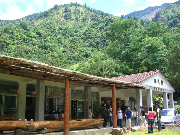 山中的咖啡園