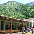 山中的咖啡園
