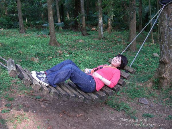 樹林間的木頭吊床