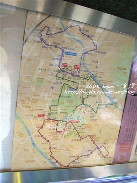 不同的巴士運行路線圖