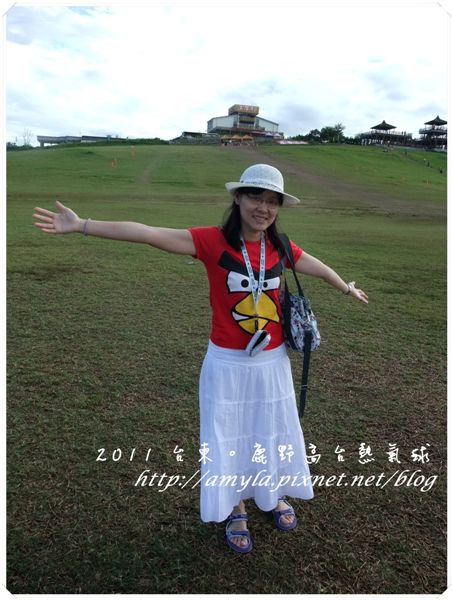 第二天早上又到鹿野高台