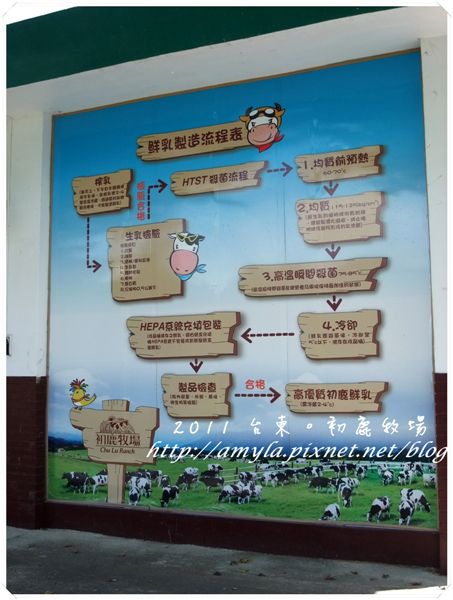 鮮乳製作流程