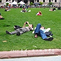 老師跟學長學外國人躺在草地上