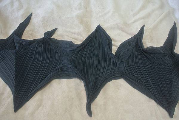 DSC_7906.JPG DSC_7906.JPG