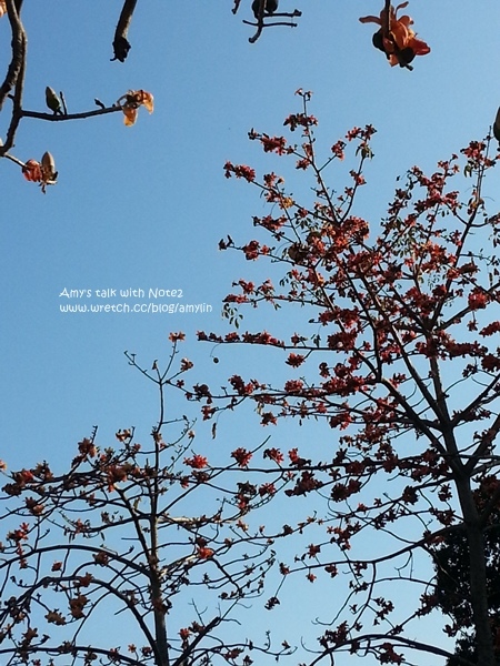 20130310_161509