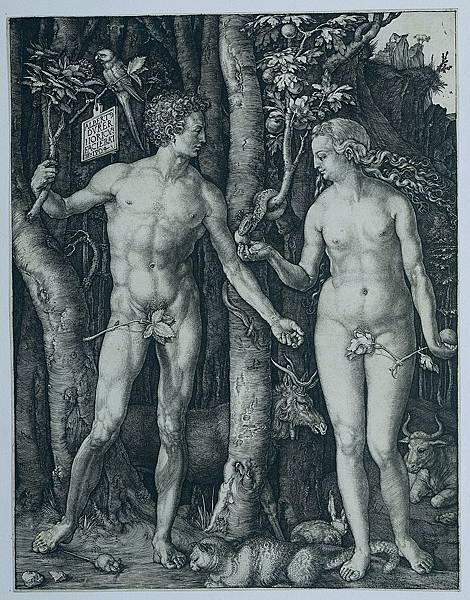 Albrecht_Dürer_-_Adam_and_Eve_(Rijksmuseum_RP-P-OB-1155)