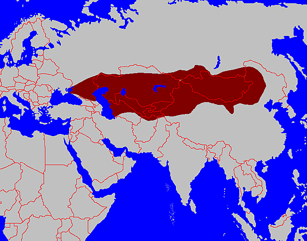 First_Turk_Khaganate(600)