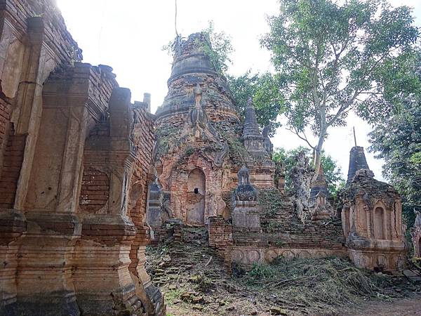 DSC00572R.jpg DSC00572R.jpg