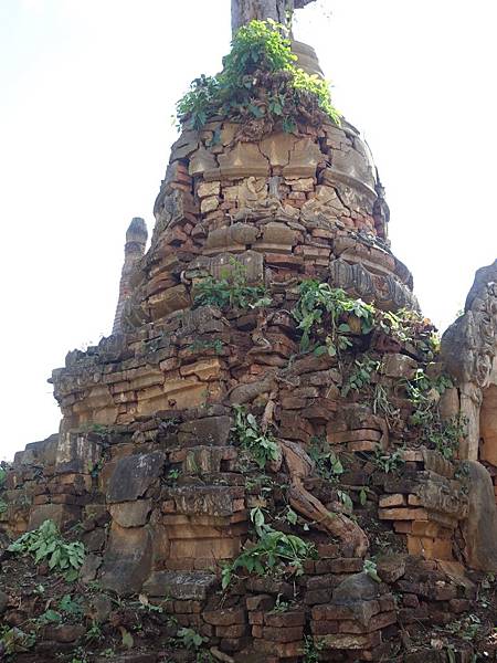 DSC00583R.jpg DSC00583R.jpg