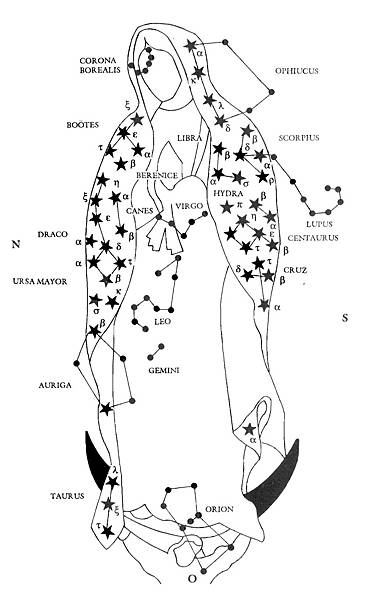 fig.53-Guad-no-trasparent-zoom.jpg