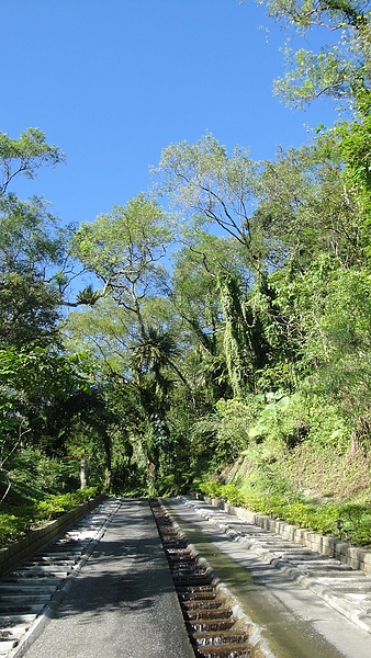 通往房間的上坡路