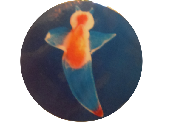 Wwoof 北海道紋別10 03 17 我的點點滴滴 痞客邦