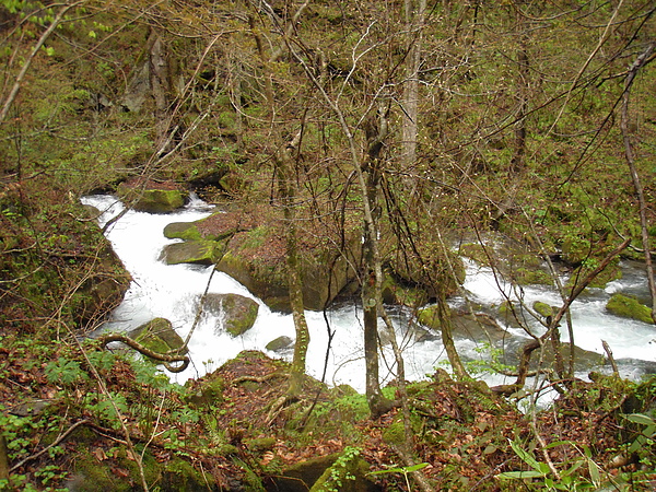 P5120338.JPG