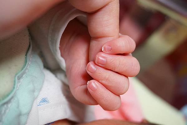 1667891C-4C27-4554-986E-B598113CB195.JPG 1667891C-4C27-4554-986E-B598113CB195.JPG