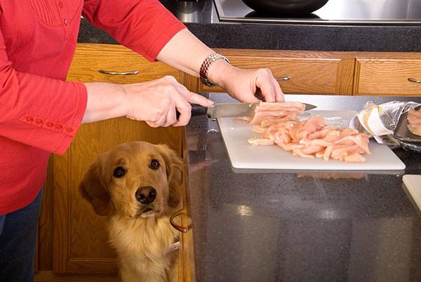 Homemade-pet-Food-