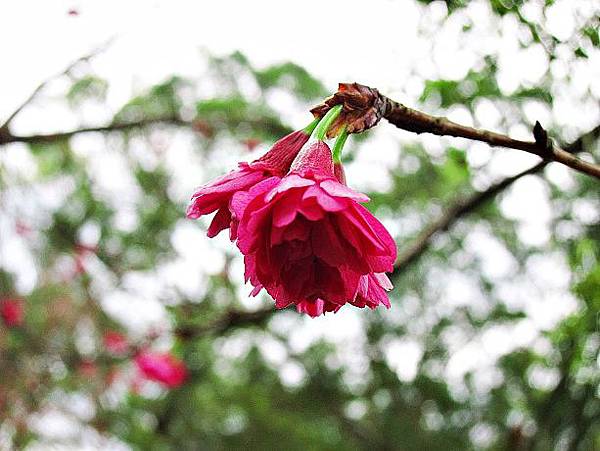 105022844.JPG 105022844.JPG