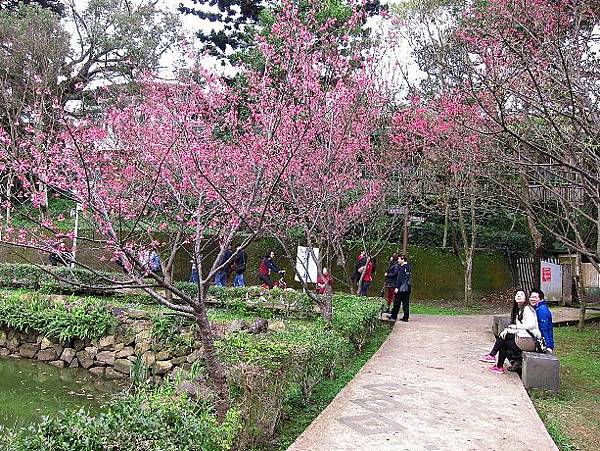 105022847.JPG 105022847.JPG