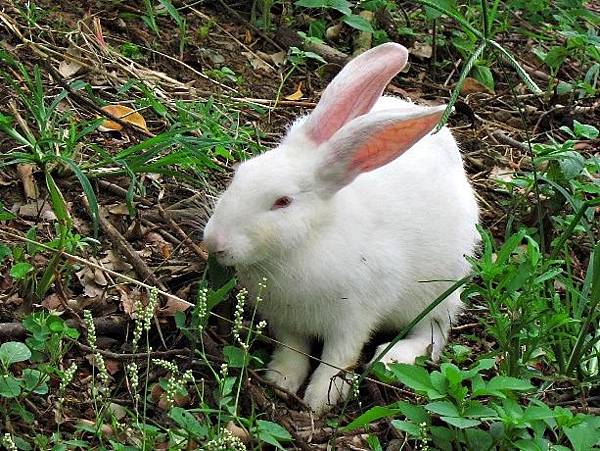 105061244.JPG 105061244.JPG