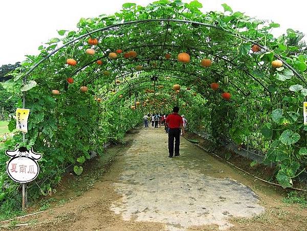 105061211.JPG 105061211.JPG