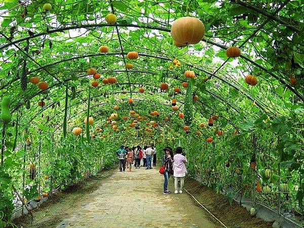 105061214.JPG 105061214.JPG