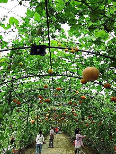 105061215.JPG 105061215.JPG