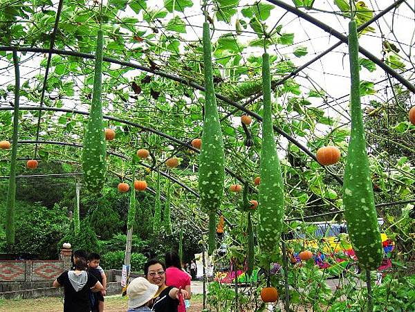 105061218.JPG 105061218.JPG