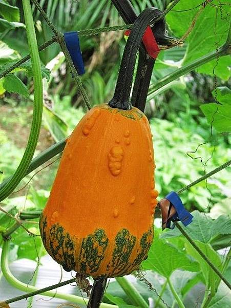 105061227.JPG 105061227.JPG