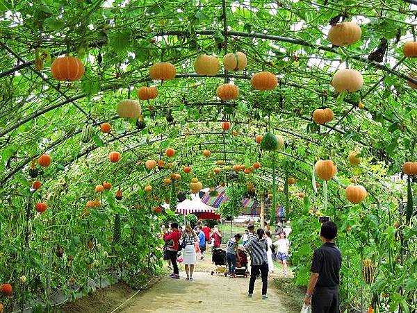 105061228.JPG 105061228.JPG