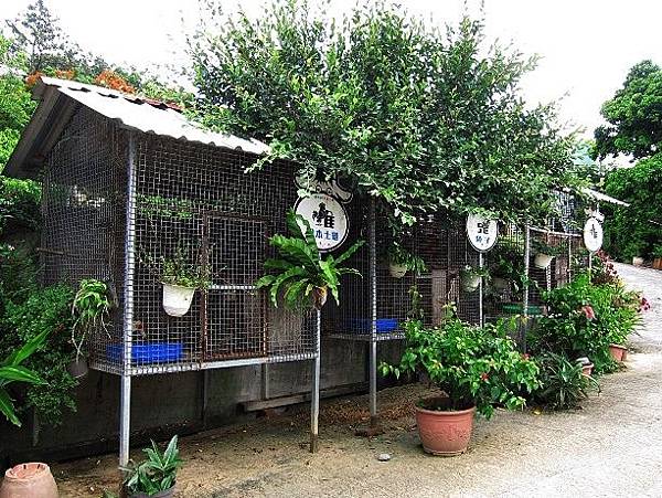 105061231.JPG 105061231.JPG