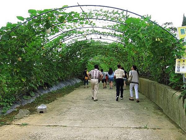 105061232.JPG 105061232.JPG