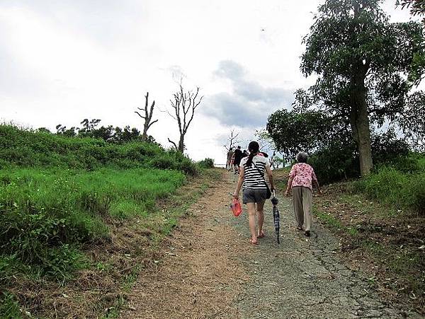 105061238.JPG 105061238.JPG