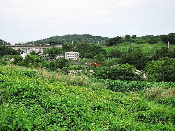 105061239.JPG 105061239.JPG