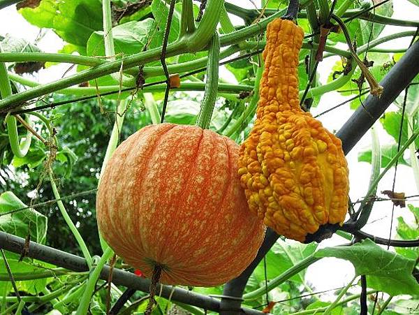 105061226.JPG 105061226.JPG