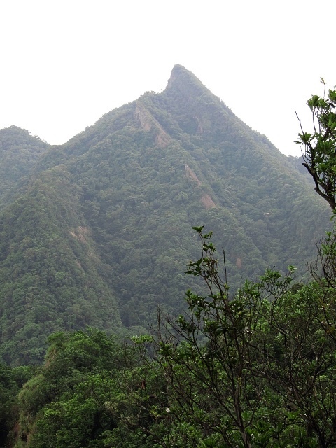 106061045-2.JPG 106061045-2.JPG