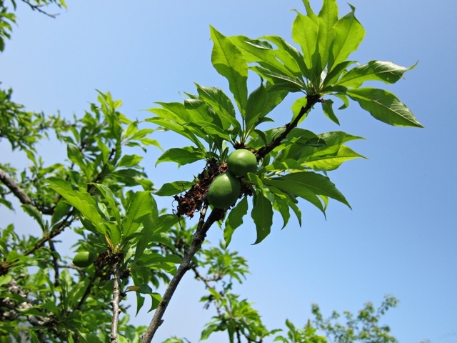 IMG_5957.JPG IMG_5957.JPG