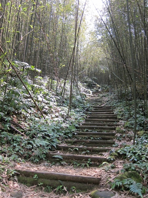 IMG_5963.JPG IMG_5963.JPG