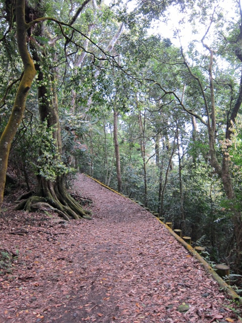 IMG_5967.JPG IMG_5967.JPG