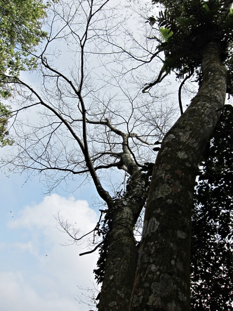 IMG_5972.JPG IMG_5972.JPG